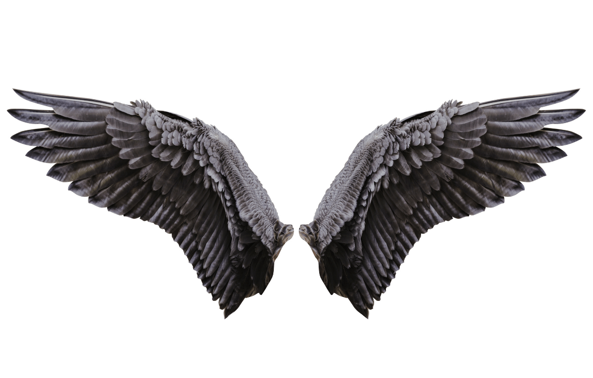 What Did You Do with the Wings? (or, Why Does Getting Rid of the Wings Make the Enneagram More Accurate AND Easier to Use?)