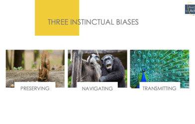Our Instinctual Biases: Three Patterns of Attention and Values and How They Shape the Way We Work